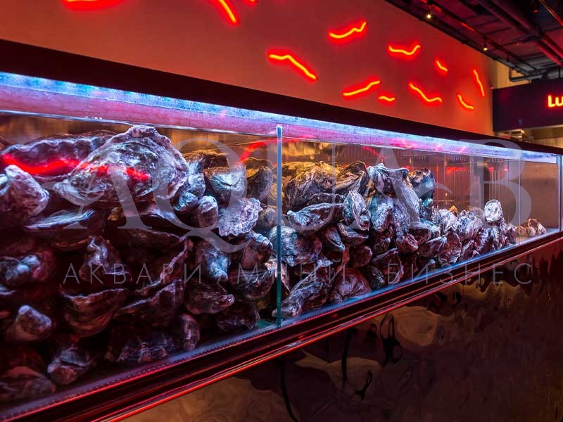 Ресторан lure oyster аквариум для устриц